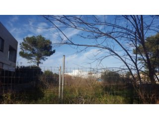 Plot in Alcudia of 555 m2 with approved license for the..