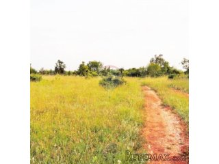 Istra, poljoprivredno zemljište sa idejnim projektom 22289m2