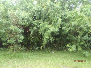 4112 Sw Ragen St, Port Saint Lucie, FL..