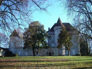 6 bedroom Castle For Sale: 46140..