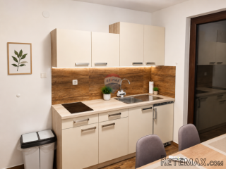 OTOK KRK, MALINSKA - PRILIKA 7 apartmana s vrtom