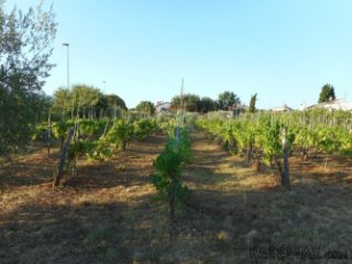 POREČ:4km OD GRADA I NEDALEKO MORA