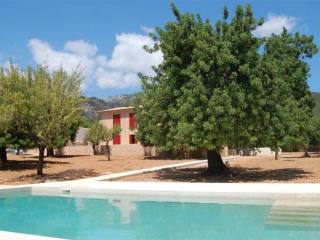 Newly built country house in dream..