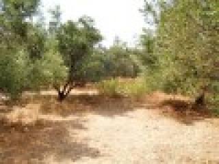 Residential Plot For Sale In Crete