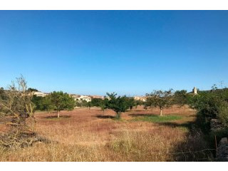 Nice plot by Son Carrio with view to..
