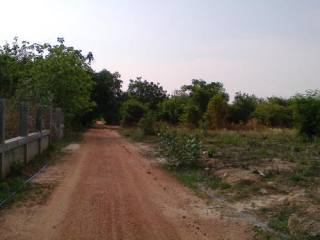 Land For Sale Nakhon Ratchsima Nakhon..