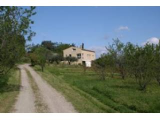 Organic Almond Farm And 200 M² Home..