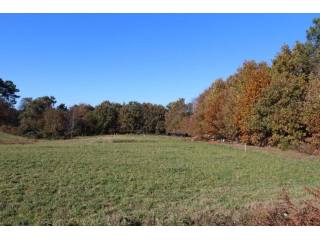 27177B - Vente - Terrain - Vergt