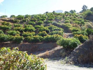 2 Bedrooms - Country House - Malaga -..