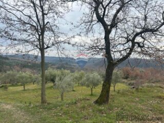 Buje, poljoprivredno zemljište veličine 806 m2