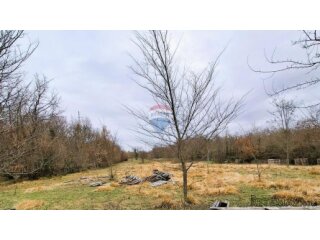 Istra, Brtonigla, poljoprivredno zemljište 9.862 m2