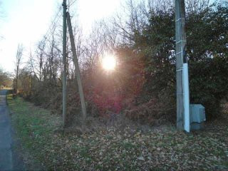 6140m2 Building Plot With Wooded Garden