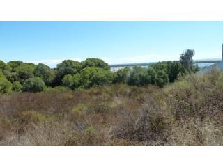 Land - Awaiting further details for..
