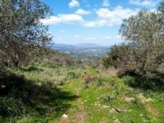 Crete Land
