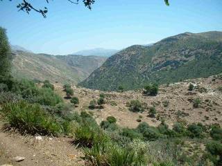Land - This is a magnificent expansive..