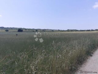 Bibinje- Poljoprivredno zemljište
