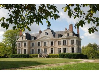 11 bedroom Castle For Sale: 45500 GIEN