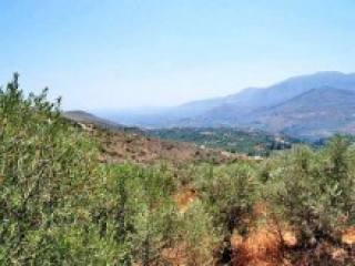 Land Property In Crete