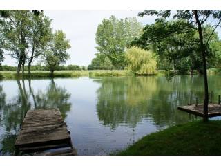 Great plot of mature, enclosed land on..