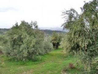 Crete Residential Land For Sale