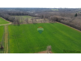 Istra, Vižinada, okolica - plodna oranica 11.458 m2