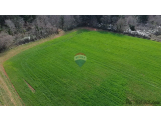 Istra, Vižinada, okolica - oranica 17.273 m² – odmah spremna