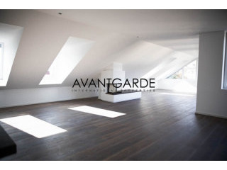 Exclusive penthouse in beautiful park..