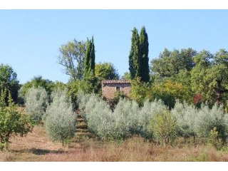 House - Tuscany - For Sale