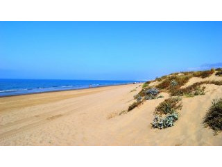 Land - Malaga - For Sale