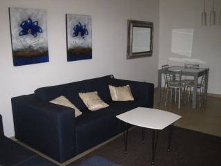 Modern Fort Cambridge Apartment