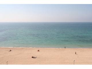 Spacious Apartment First Sea Line In..