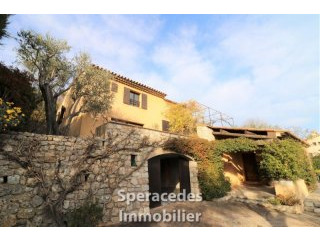 Speracedes Close To The Village