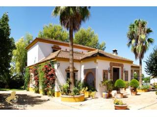 Equestrian property, studfarm..