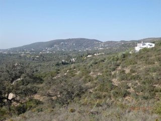 Plot For Sale: Santa Barbara de Nexe..