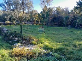 Istra,Rakalj,građevinsko zemljište 984 m2