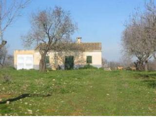Finca near Santa Margarita, with..