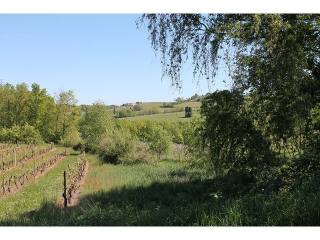 Vente Terrain Monbazillac