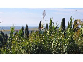 Istra,Buje-Građevinsko zemljište panoramskog pogleda