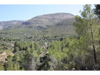 Rustic plot in Benichembla (Jalon Valley) of 10.423 sq..