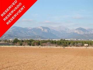 *RESERVED* Plot with licence and..