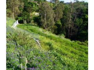 Land For Sale: 557 Sycamore Vista Rd