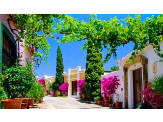 3 bedroom town house for sale