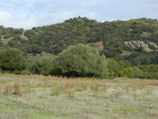 Country land for sale near Arzachena -..