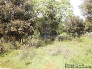 GAJANA, poljoprivredno zemljište od 5240 m2