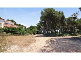 PLOTS WITH SEA VIEW