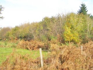 2.9 Ha Of Farming Land In The Charente..