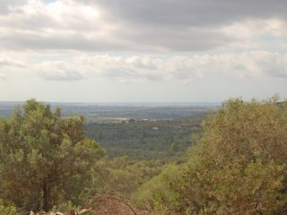 Building Plot With Bay Views In Puntiro