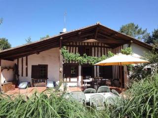 Character For Sale: 33210 LANGON