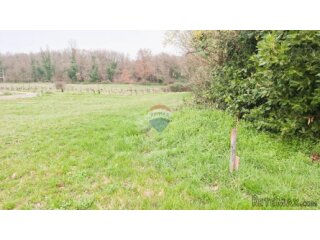 Istra, Brtonigla – Građevinsko zemljište 619 m²