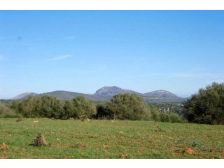 Beautiful plot with nice views nearby..